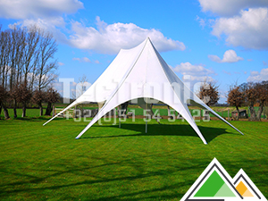 Stertent Twin